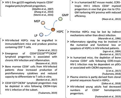 Hematopoietic Stem/Progenitor Cells and the Pathogenesis of HIV/AIDS